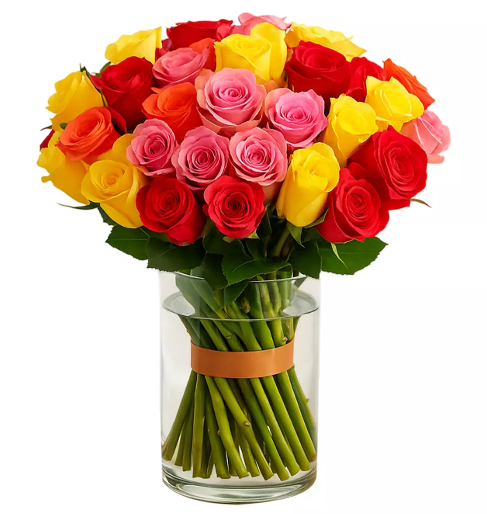 Splendid Multi-Hued Rose Collection