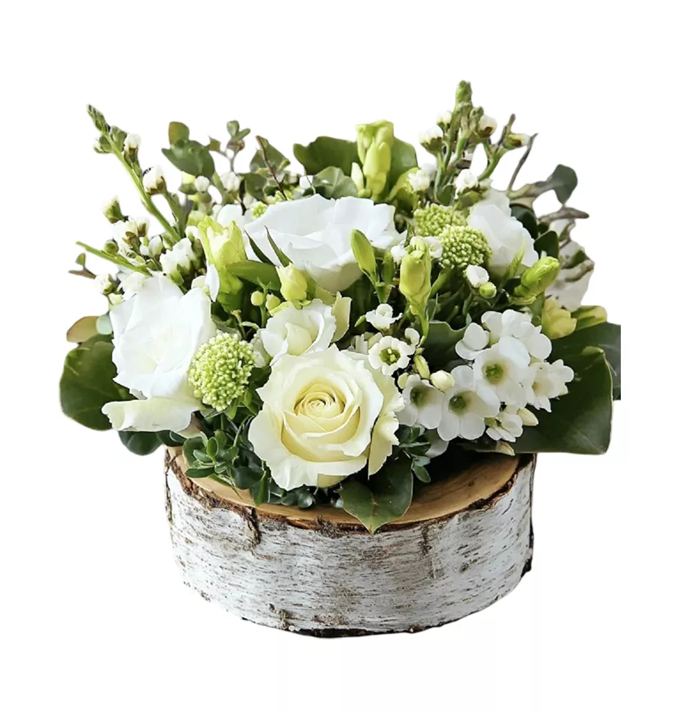 Gentle Blooms Arrangement