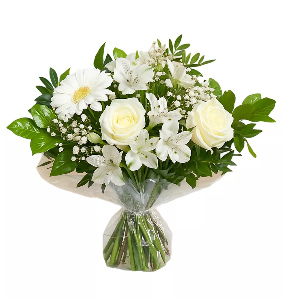 Elegant White Rose & Germini